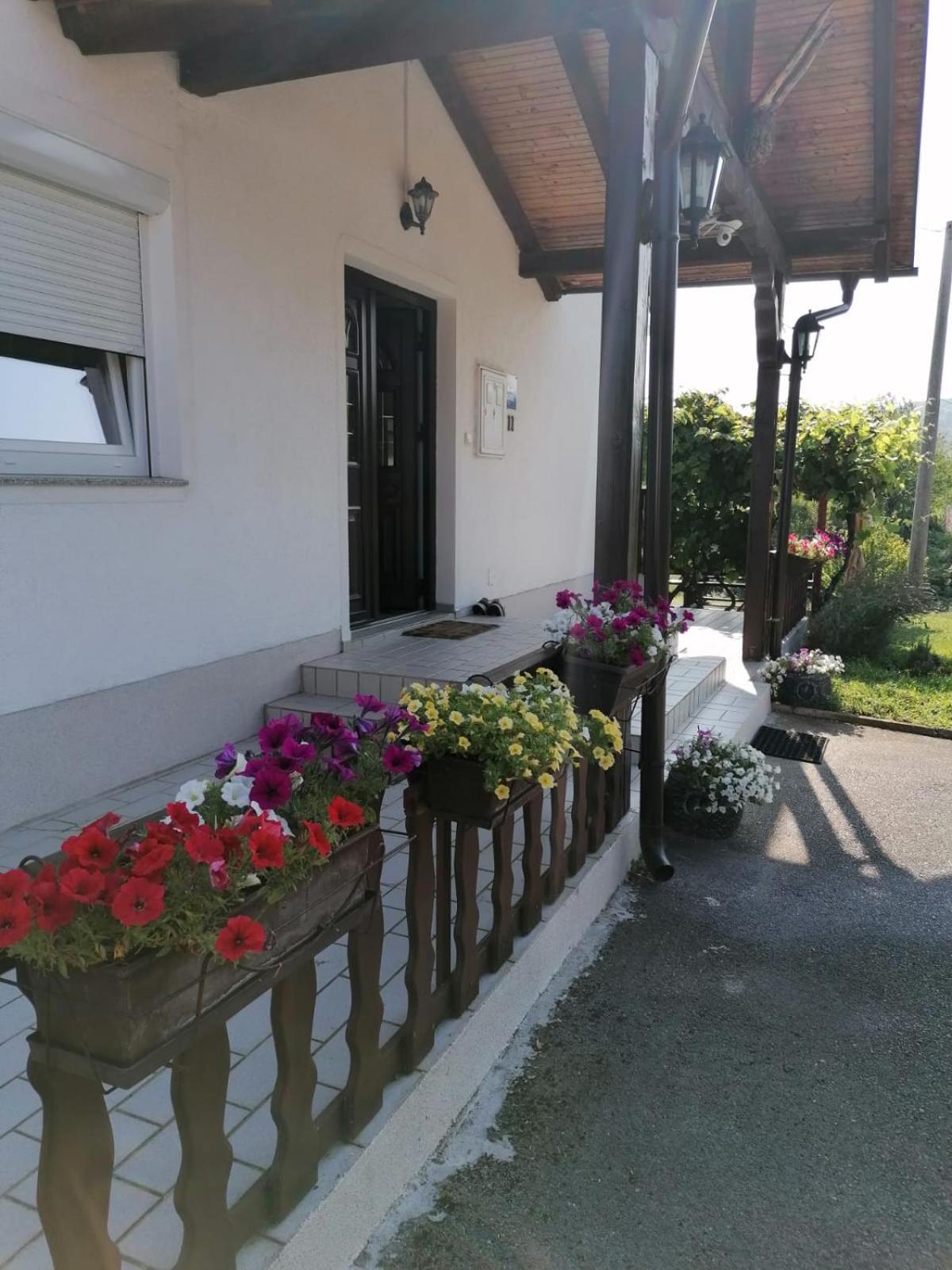 Hotel House Viktoria Selište Drežničko Exterior foto