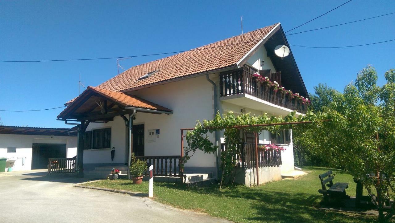 Hotel House Viktoria Selište Drežničko Exterior foto